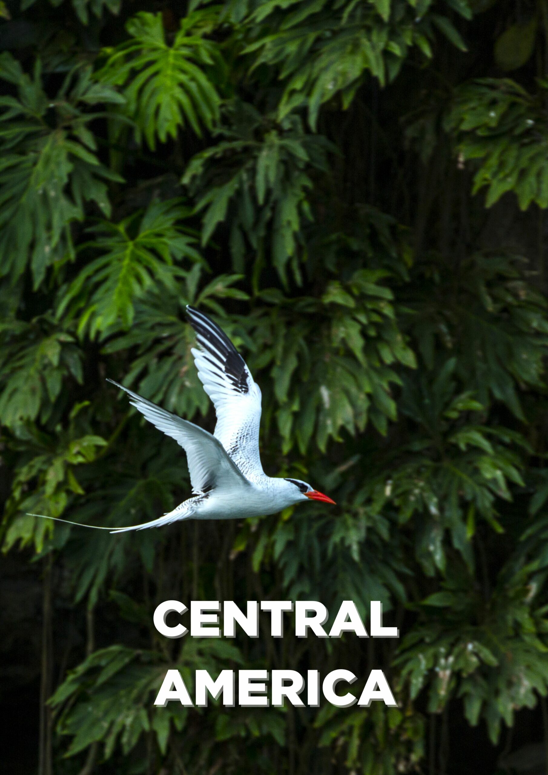 Central America-destinations-agent