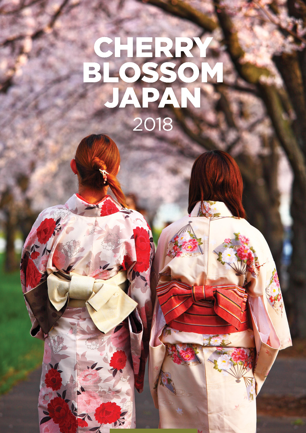 Cherry Blossom Japan World Journeys Australia