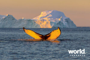 Disko Bay 3