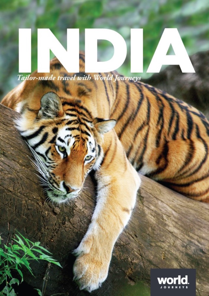 Indian Tigers