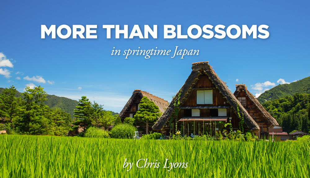 More than blossoms – springtime Japan