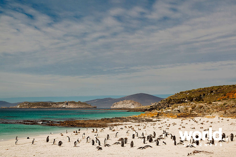 Falklands, South Georgia & Antarctica: Explorers & Kings
