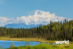 Highlights of Kenai Fjords and Denali