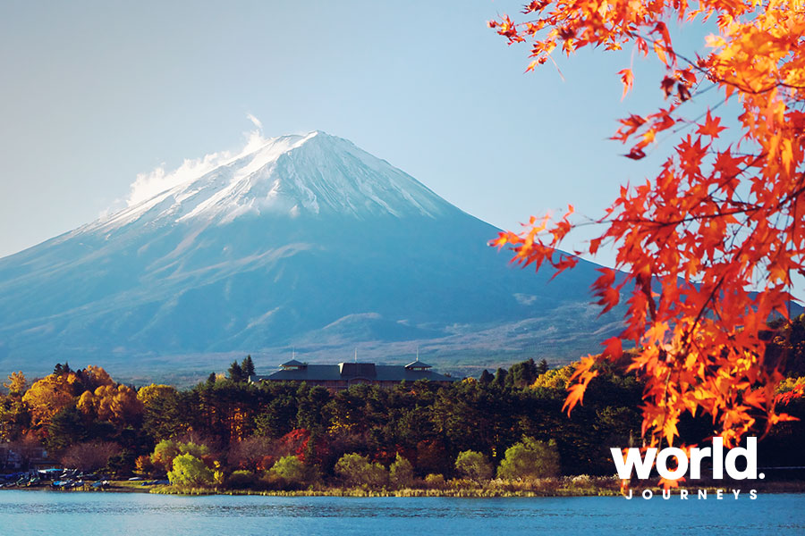 Mt Fuji in Autumn