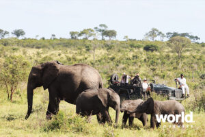 Londolozi Private Game Reserve