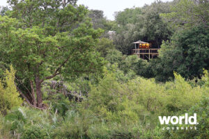 Londolozi Private Game Reserve