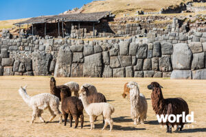 Luxury Peru & the Uyuni Salt Flats
