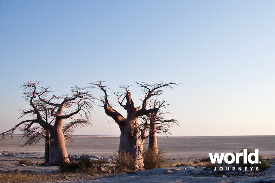 Makgadikgadi & Mekoros