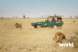 Makgadikgadi & Mekoros