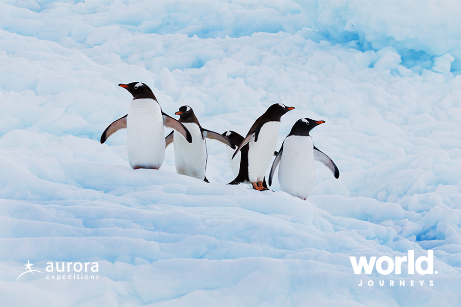 Mawson's Antarctica