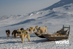 Taste of Greenland