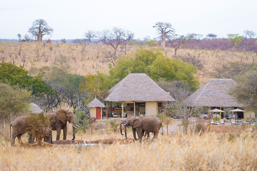 Nimali Lodge, Tanzania