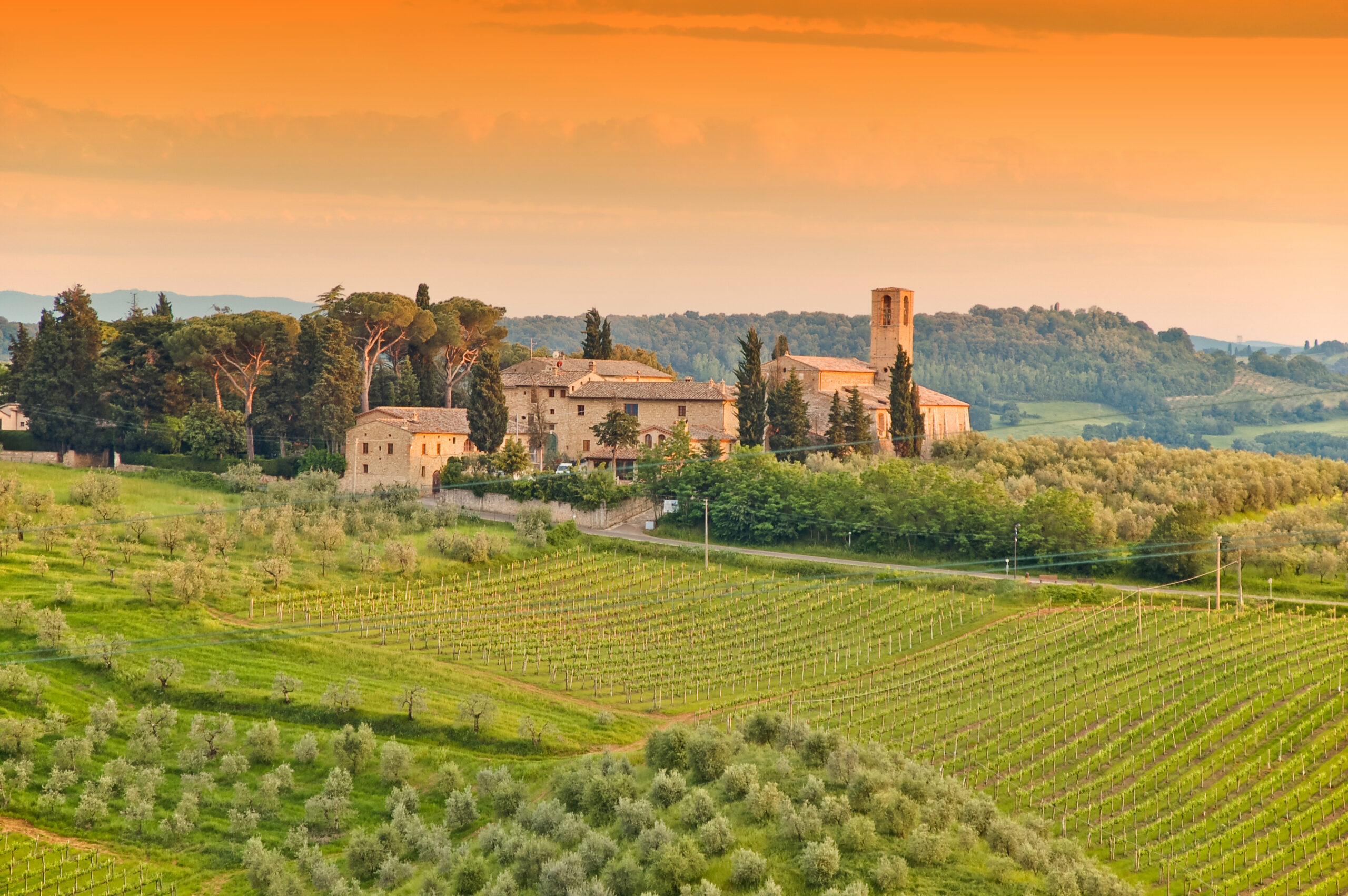 Italian Farm, Tuscany