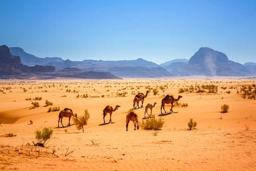 Wadi Rum Desert Jordan Blog